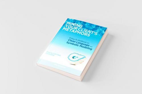 Mining Your Client's Metaphors