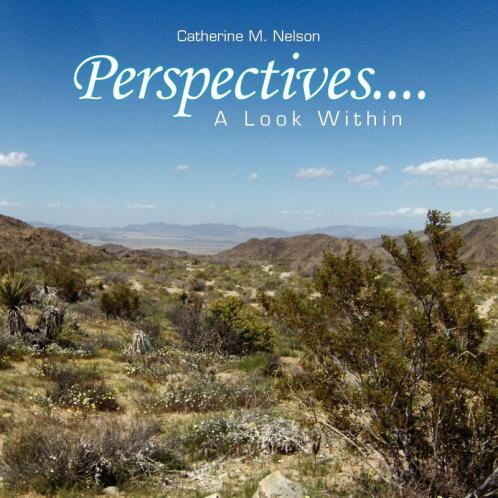Perspectives....A Look Within