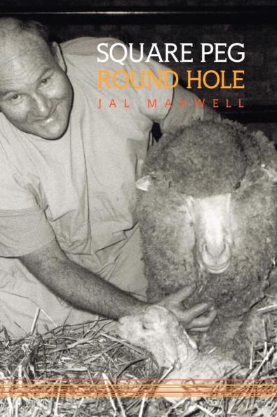 Square Peg - Round Hole