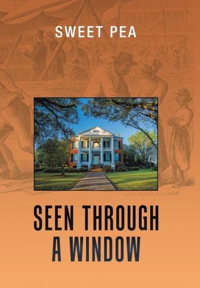 Seen Through a Window