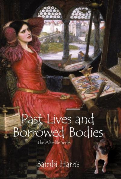 Past Lives and Borrowed Bodies