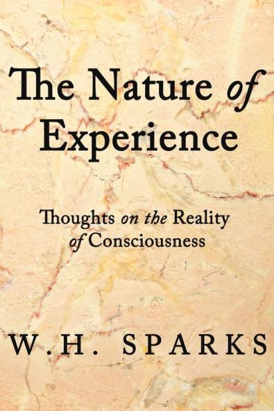 The Nature of Experience