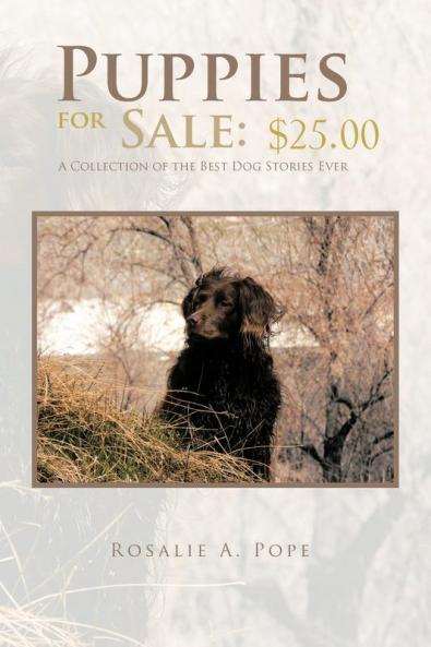 Puppies for Sale