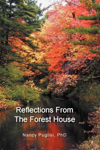 Reflections  from The Forest House