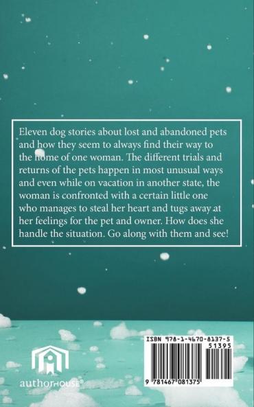 The Empty Dog House