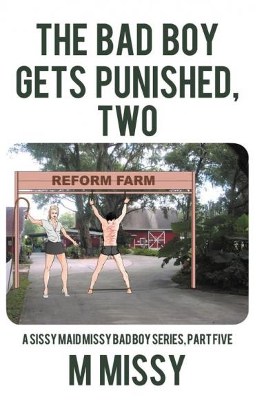 The Bad Boy Gets Punished Two