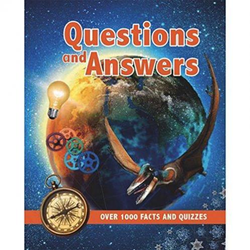 Questions And Answers (Mini)
