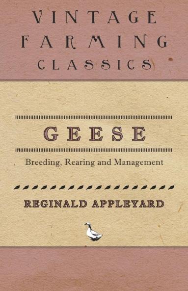 Geese - Breeding Rearing and Management