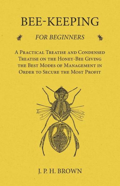 Bee-Keeping for Beginners - A Practical Treatise and Condensed Treatise on the Honey-Bee Giving the Best Modes of Management in Order to Secure the Most Profit