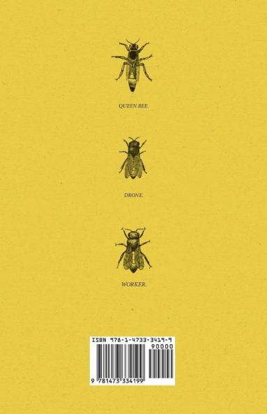 Bee Keeping in Porto Rico