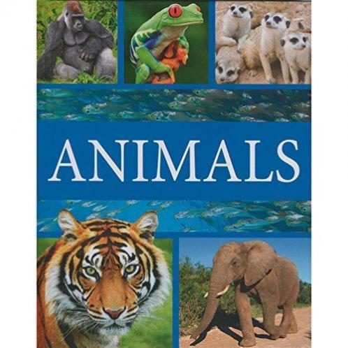 Fascinating Facts: Animals