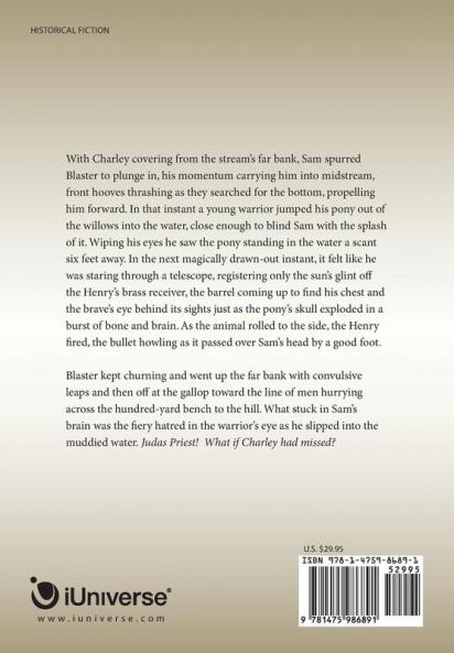 Surviving Custer