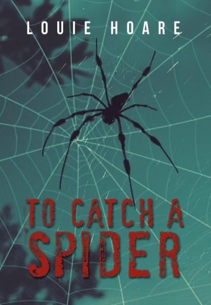 To Catch a Spider