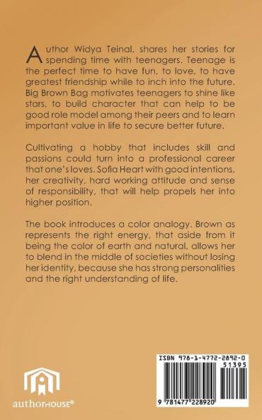 Big Brown Bag