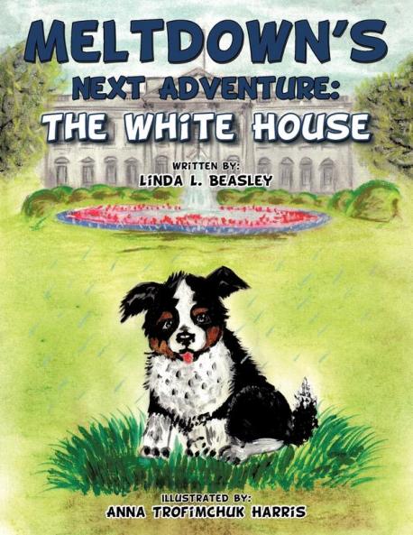Meltdown's Next Adventure