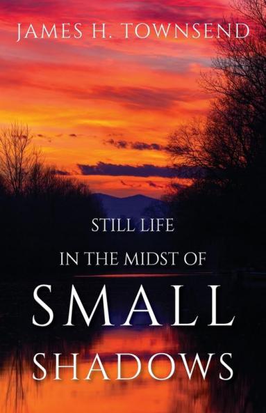 Still Life in the Midst of Small Shadows