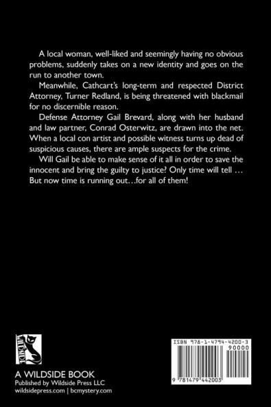 Shadow of Doubt: A Gail Brevard Mystery