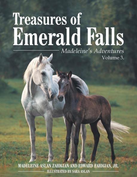 Treasures of Emerald Falls