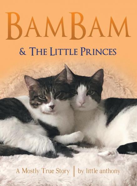 BamBam & The Little Princes