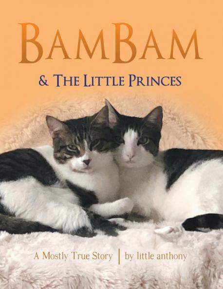 BamBam & The Little Princes