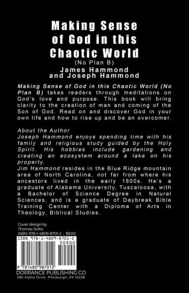 Making Sense of God in This Chaotic World: No Plan B