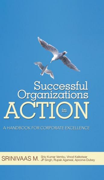 Successful Organizations in Action