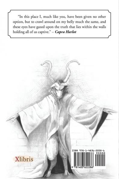 The Book of Mercer