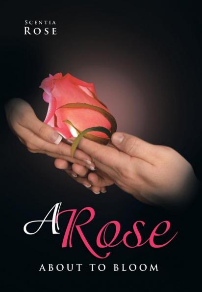 A Rose about to Bloom