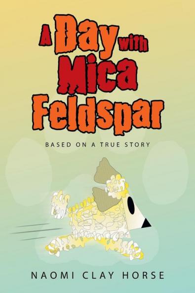 A Day with Mica Feldspar
