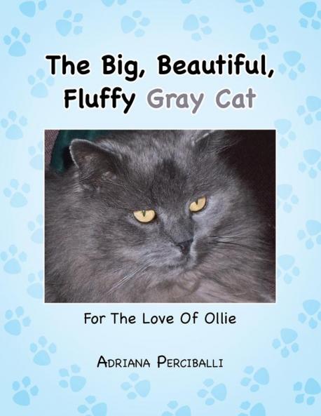 The Big Beautiful Fluffy Gray Cat