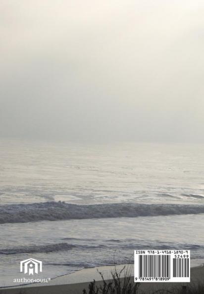 On Causal Shores