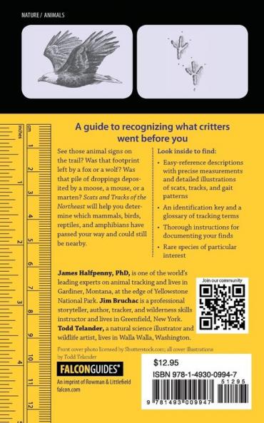 Scats and Tracks of the Northeast