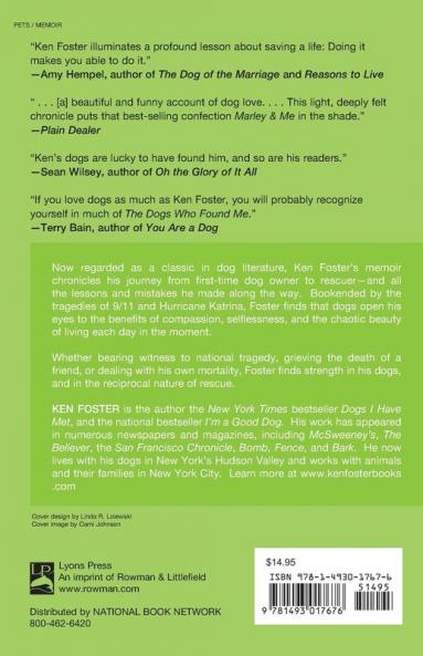 The Dogs Who Found Me