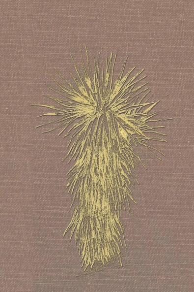 Marfa and Presidio County Texas