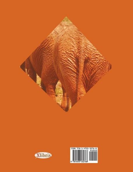 My Southern African Diaries