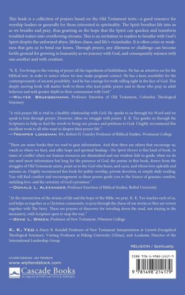 The Spirit Hovers: Journeying Through Chaos with Prayers