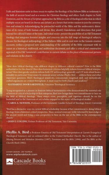Faith Feminism and the Forum of Scripture: Essays on Biblical Theology and Hermeneutics