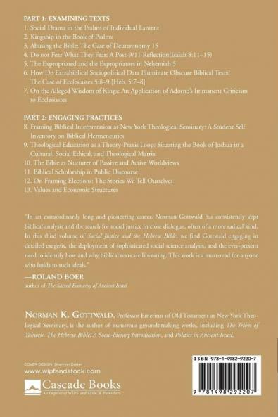 Social Justice and the Hebrew Bible Volume Three (Center and Library for the Bible and Social Justice)