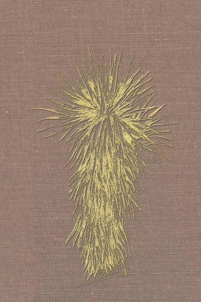 Marfa and Presidio County Texas