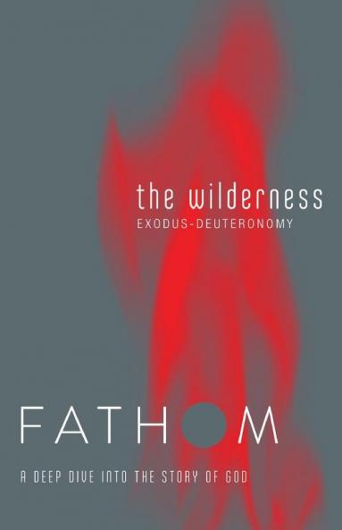 Fathom Bible Studies