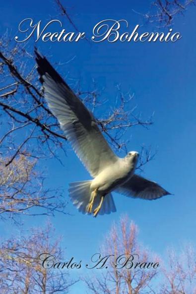 NECTAR  BOHEMIO