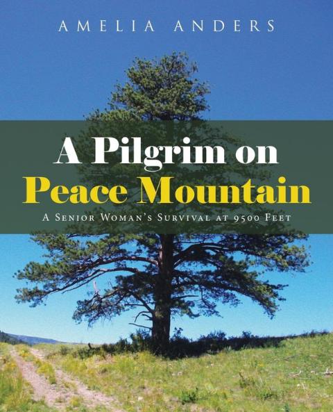 A Pilgrim on Peace Mountain