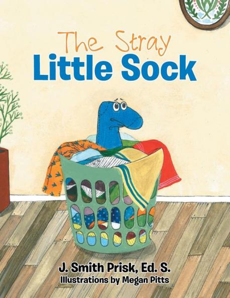 The Stray Little Sock