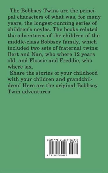 The Bobbsey Twins at Snow Lodge