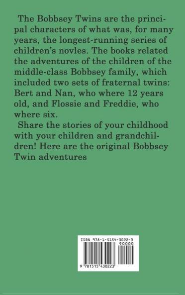 The Bobbsey Twins at Meadow Brook