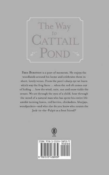 The Way to Cat Tail Pond