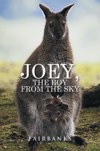 Joey the Boy from the Sky