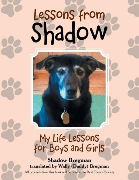 Lessons from Shadow