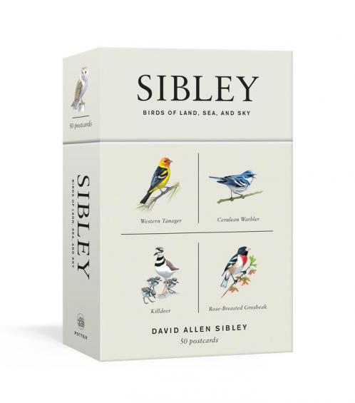 Sibley Birds of Land Sea and Sky