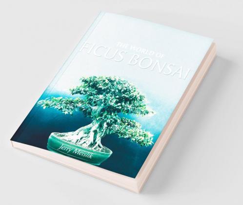 The World of Ficus Bonsai